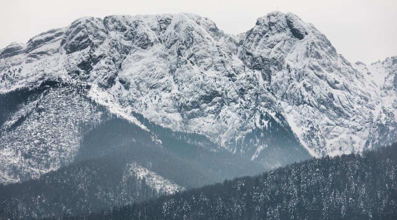 Szymaszkowa 3 By Homeprime Zakopane Extérieur photo